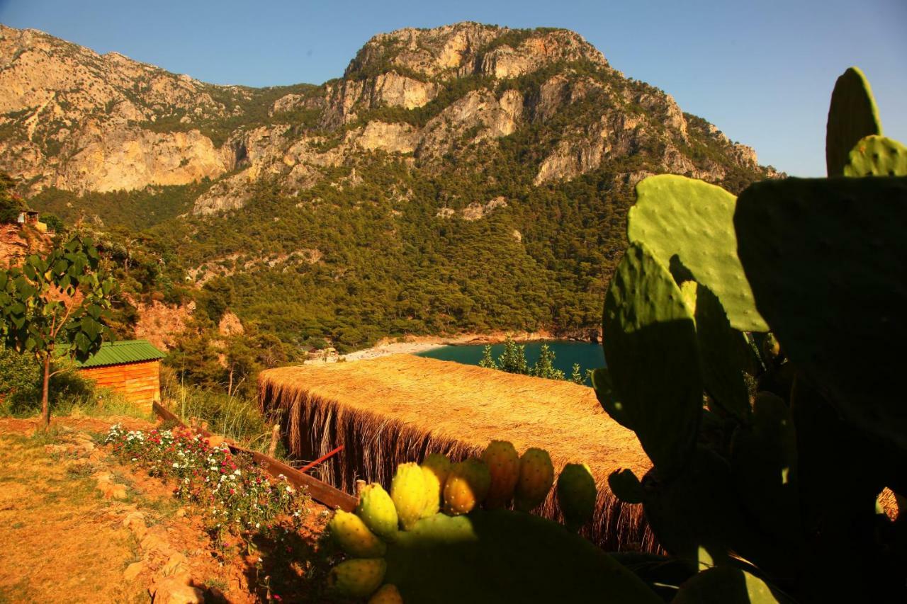 Hotel Cosmos Lounge Fethiye Exteriér fotografie